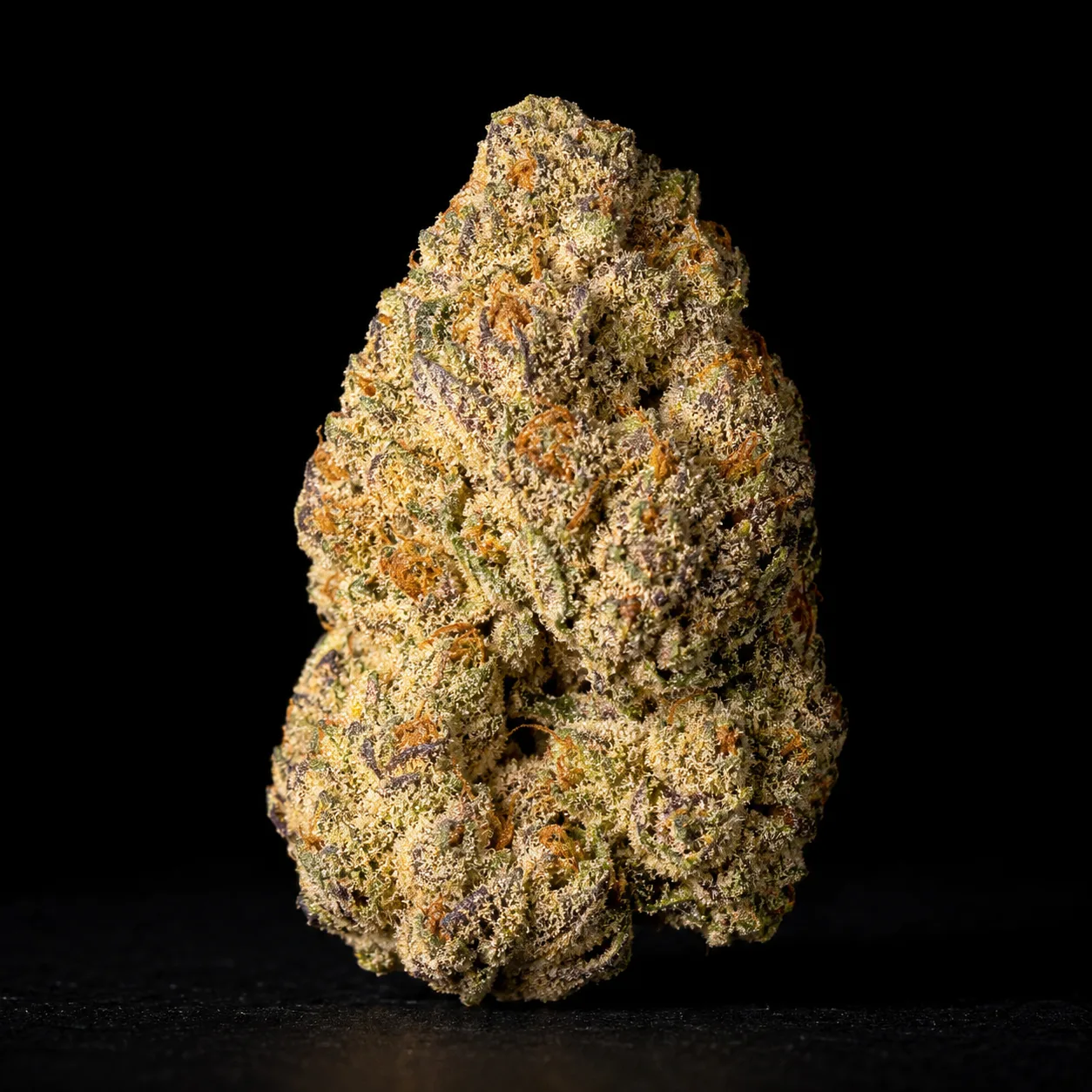 Gelato GOAT cannabis flower close-up